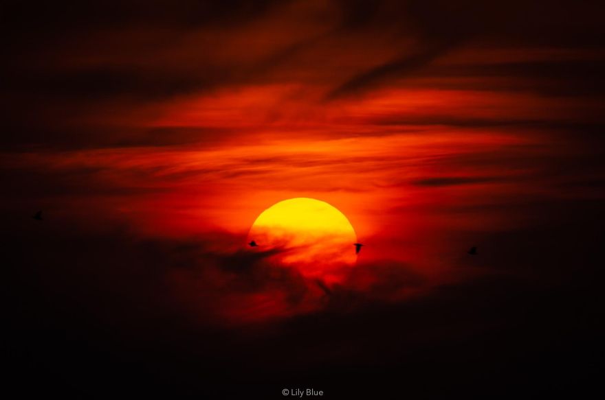 Soleil-2
