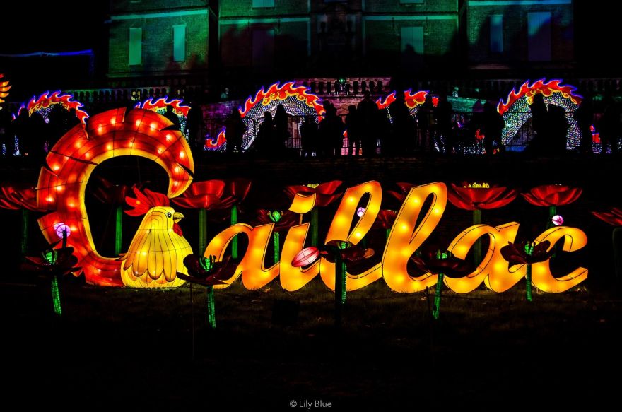 Festival des lanternes à Gaillac - Janvier 2020